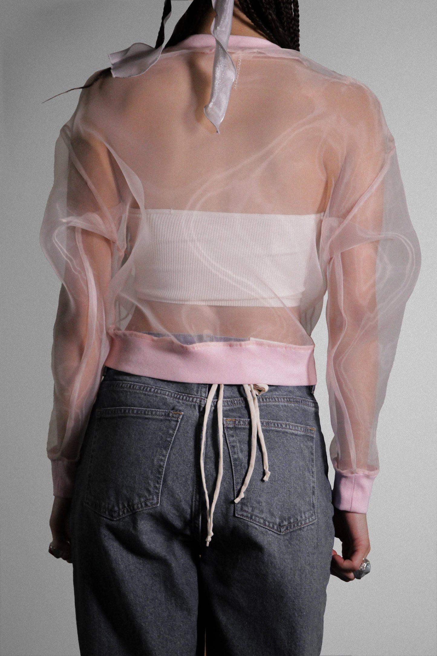 Sheer Elegance: Transparent Organza Long Sleeve Top