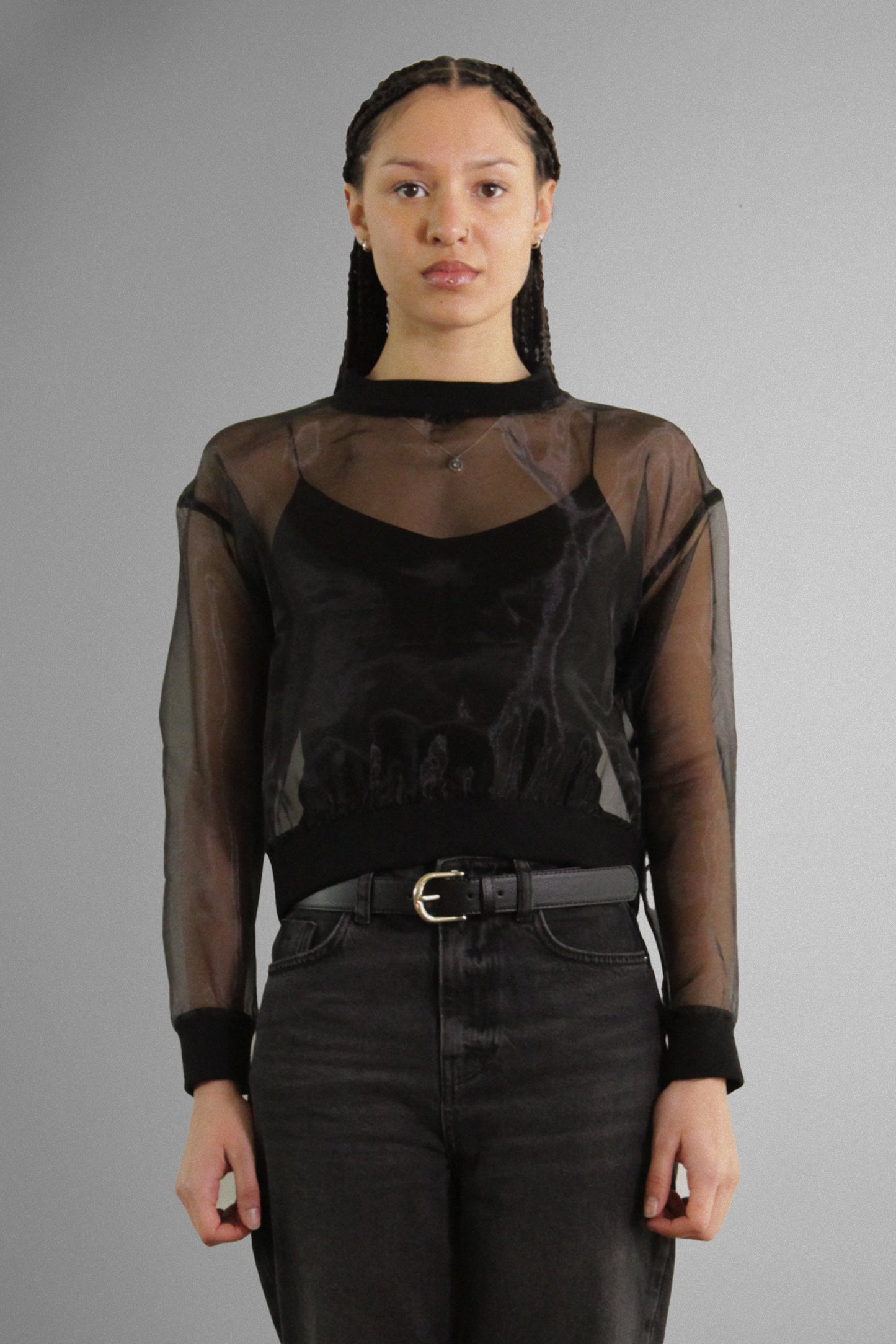 Sheer Elegance: Transparent Organza Long Sleeve Top