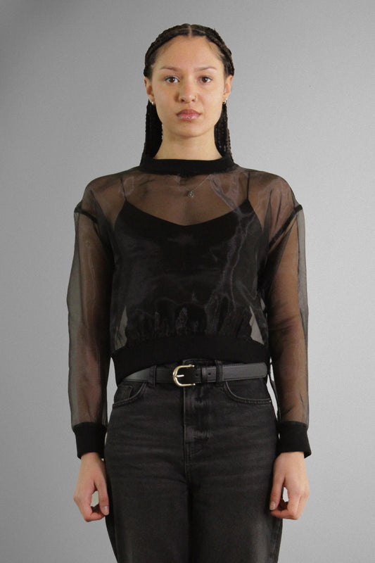 Transparent Organza Long Sleeve Top