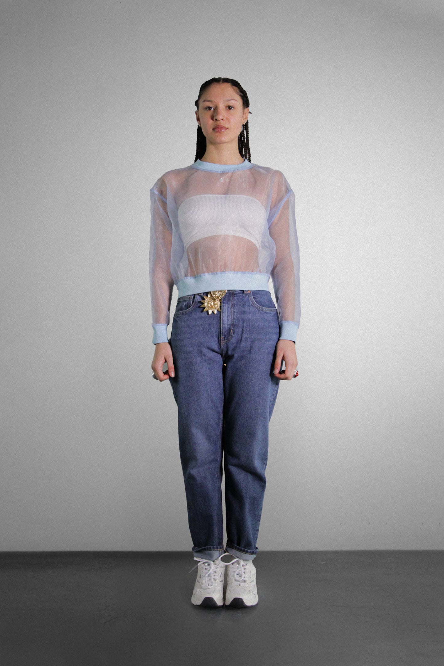 Sheer Elegance: Transparent Organza Long Sleeve Top