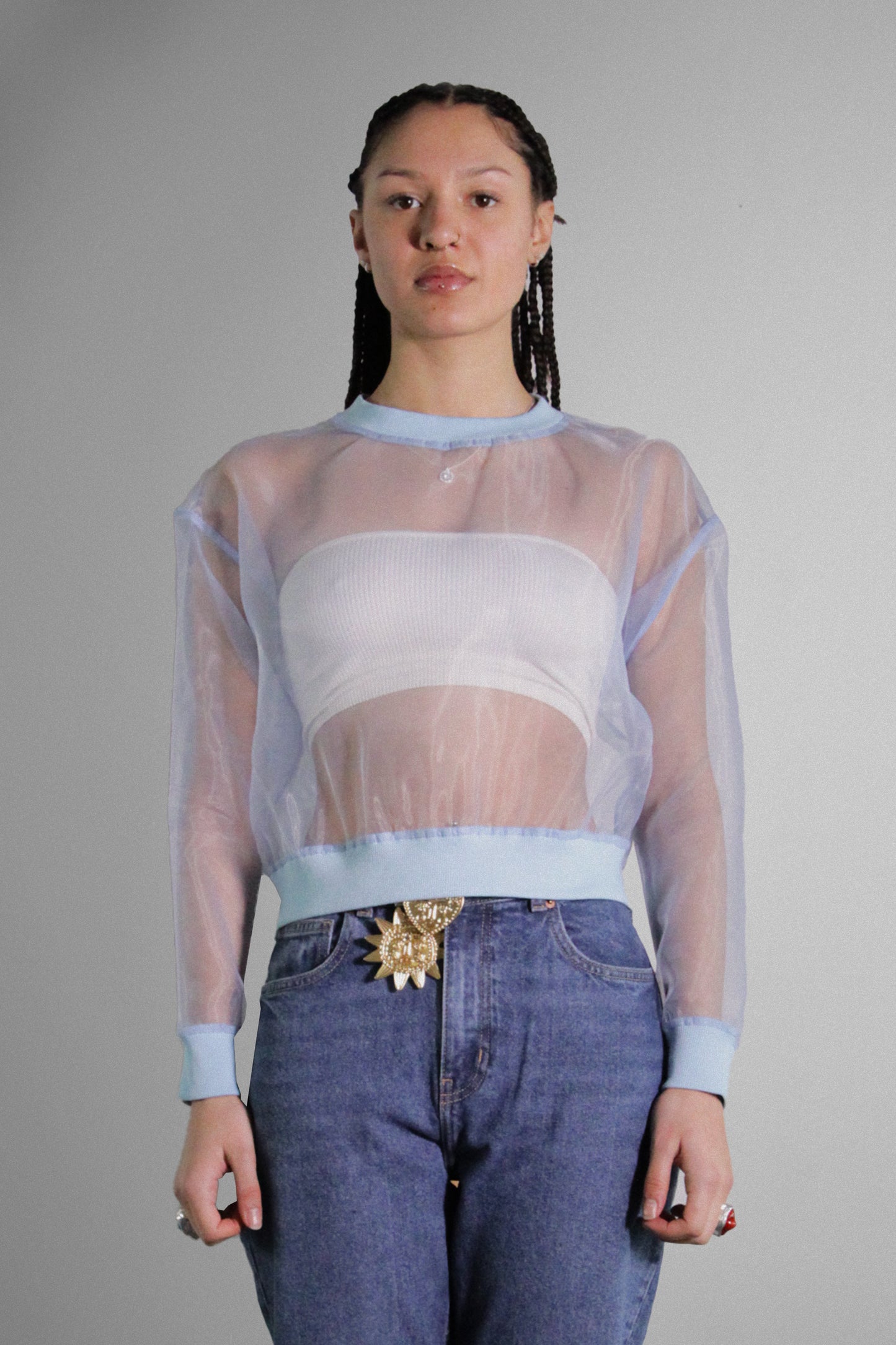 Sheer Elegance: Transparent Organza Long Sleeve Top