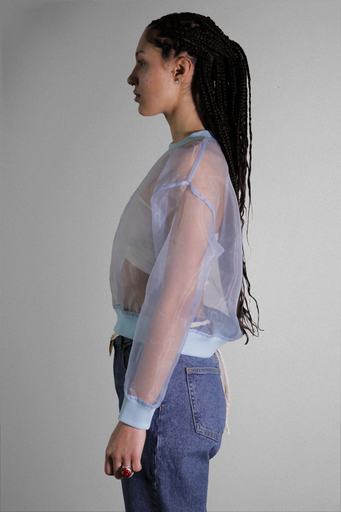 Sheer Elegance: Transparent Organza Long Sleeve Top