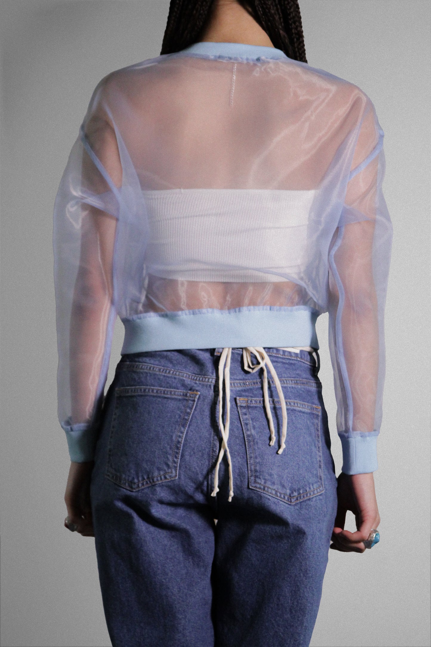 Sheer Elegance: Transparent Organza Long Sleeve Top